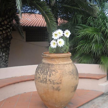 Hotel Villaggio Cala Di Volpe Capo Vaticano Ngoại thất bức ảnh