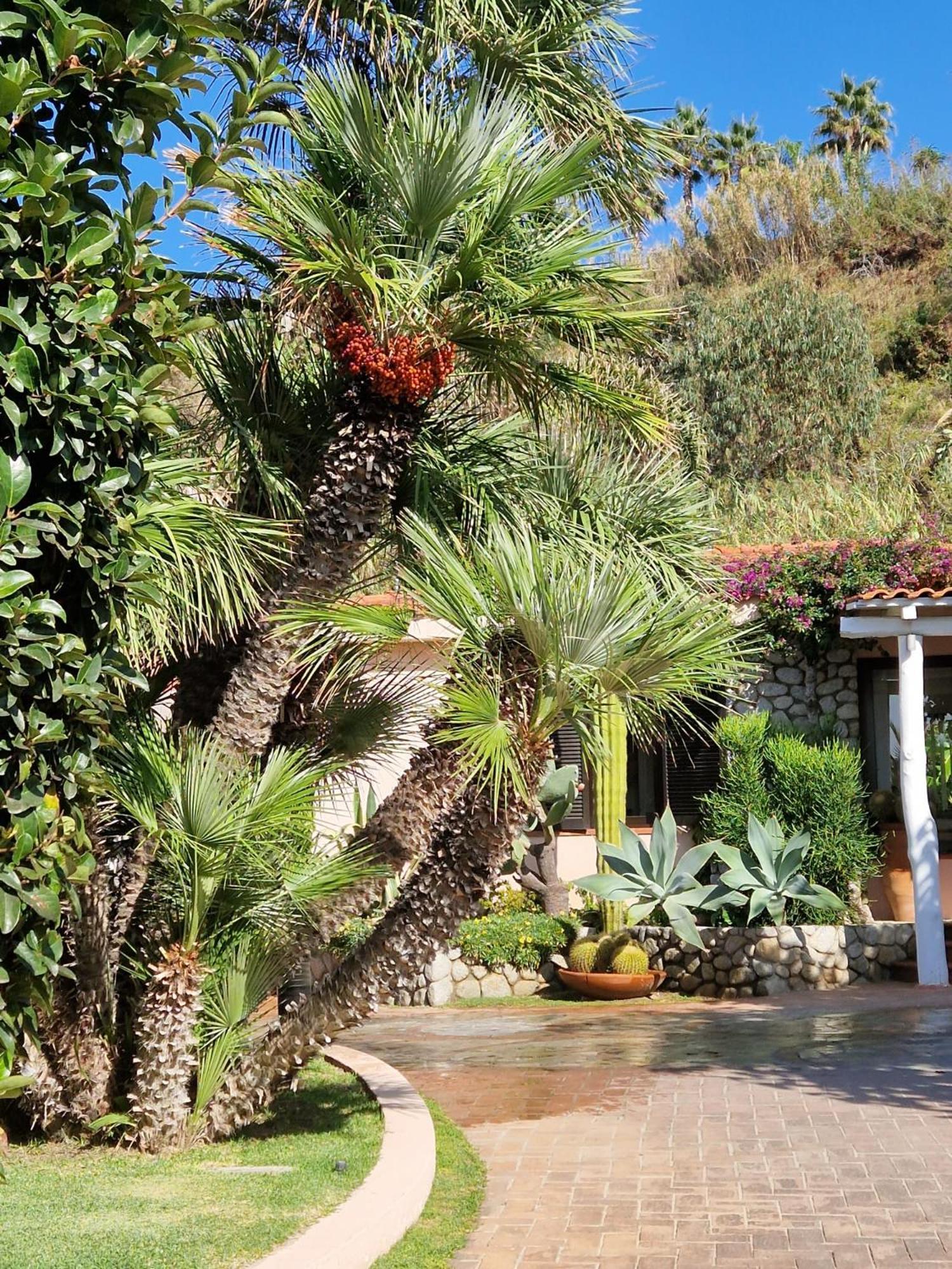 Hotel Villaggio Cala Di Volpe Capo Vaticano Ngoại thất bức ảnh