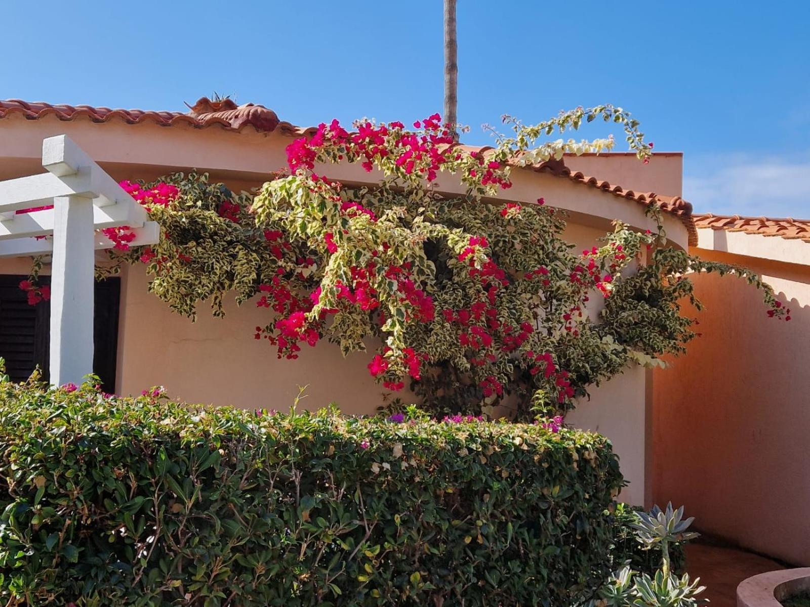 Hotel Villaggio Cala Di Volpe Capo Vaticano Ngoại thất bức ảnh