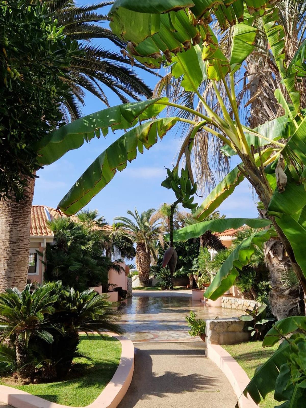 Hotel Villaggio Cala Di Volpe Capo Vaticano Ngoại thất bức ảnh