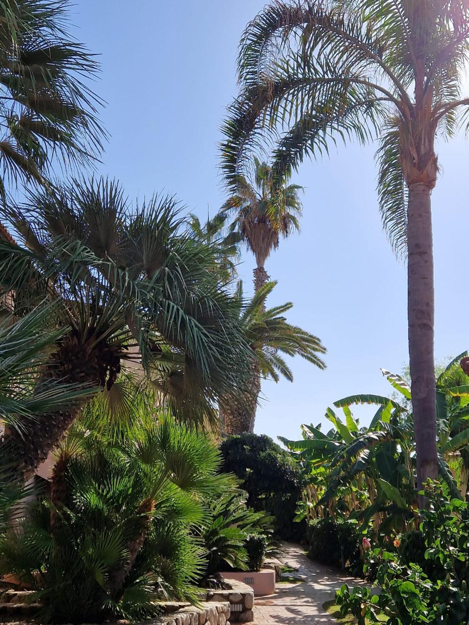 Hotel Villaggio Cala Di Volpe Capo Vaticano Ngoại thất bức ảnh